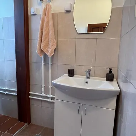 Apartman Zlatic Mataruška Banja